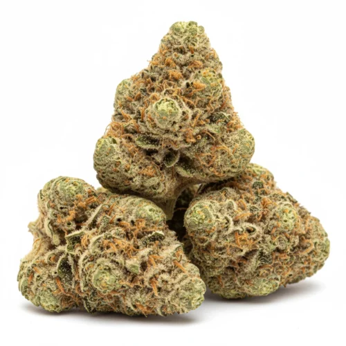 Acapulco Gold Quads