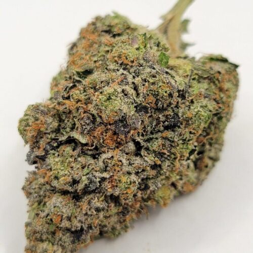 apple fritter top shelf 5a