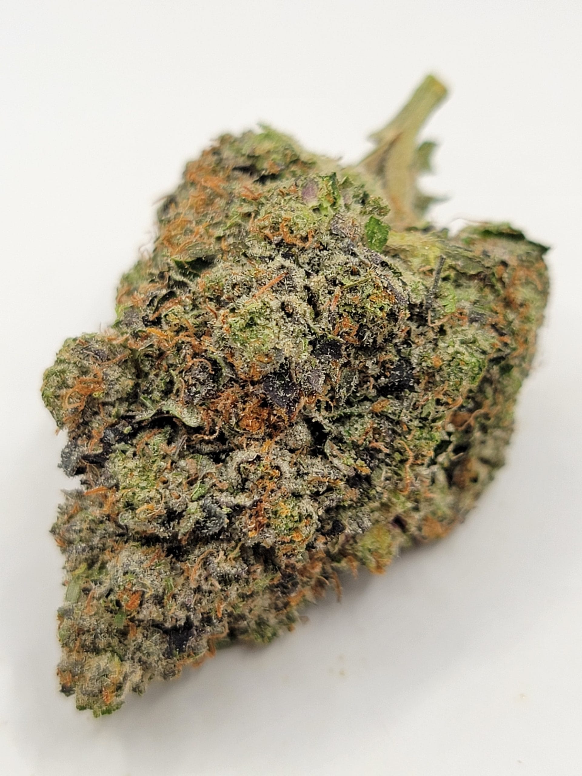 weedistillery-apple-fritter-top-shelf-5a-scaled-1.jpg Apple Fritter (TOP-SHELF/5A) - Image 1