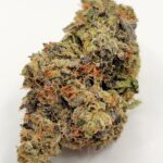 Black Cherry Punch (QUADS/4A)