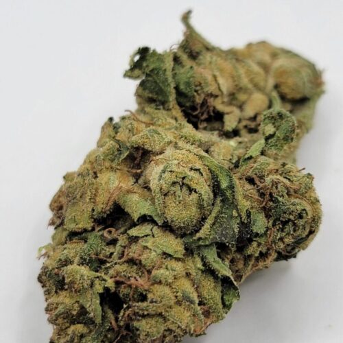 bubble gum dubs 2a