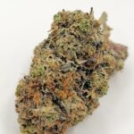 Cherry Og (TOP-SHELF/5A)