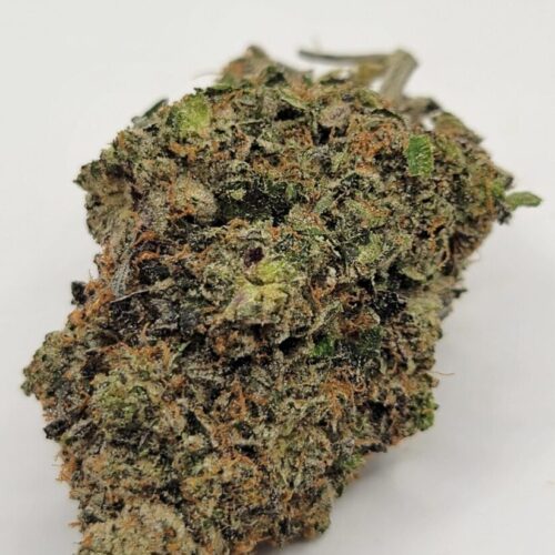 El Chapo Pink Top Shelf 5A