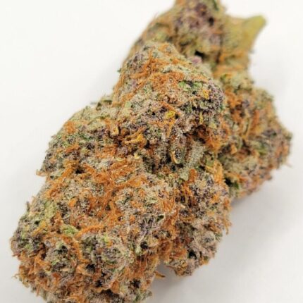 GMO Cookies Quads 4A
