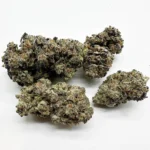 Green Goddess (TOP-SHELF/5A)