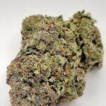 Ice Cream Cake (TOP-SHELF/5A)