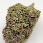 Ice Cream Cake (TOP-SHELF/5A)