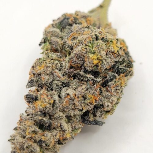 Jack Herer Quads