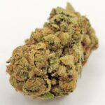 Lemon Drops (DUBS/2A)