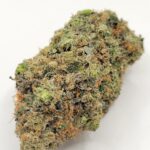 Miracle Alien Cookies (TOP-SHELF/5A)