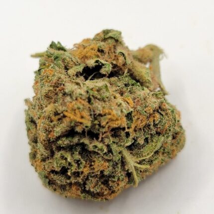 Orange Sherbet Dubs 2A