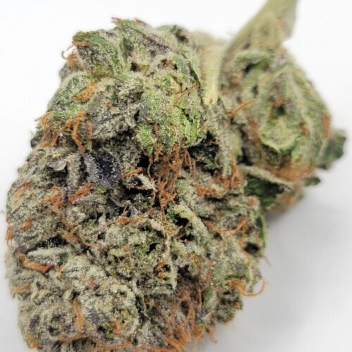 Oreoz Top Shelf 5A