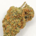 Peanut Butter Breath (QUADS/4A)