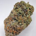 Pink Chapo LSO (TOP-SHELF/5A)