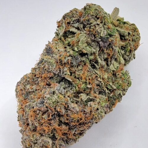 Pink Chapo LSO Top Shelf 5A