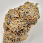 Pink Diesel (QUADS/4A)