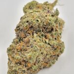 Pink Gas (TOP-SHELF/5A)