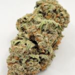 Pink Kush (QUADS/4A)