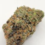 Pink Reapers (TOP-SHELF/5A)