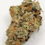 Rockstar Tuna (QUADS/4A)