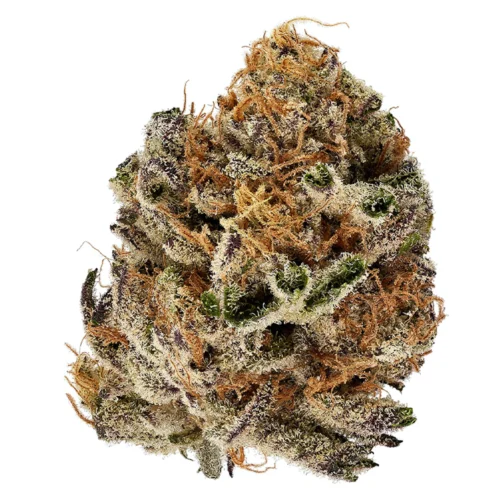 Super Lemon Haze Quads