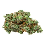 Tropical Runtz (QUADS/4A)