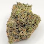 Pink Venom (TOP-SHELF/5A)