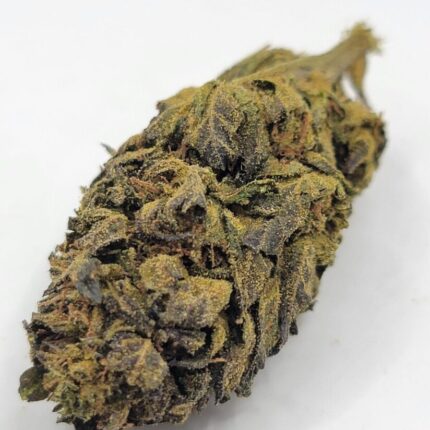 Zombie OG Dubs 2A