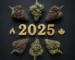Best weed strains in Brampton 2025 display with premium flower.