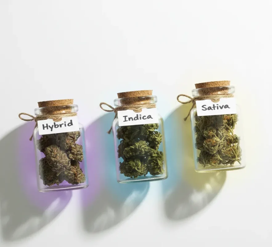 Hybrid indica and sativa ounce specials in labeled jars