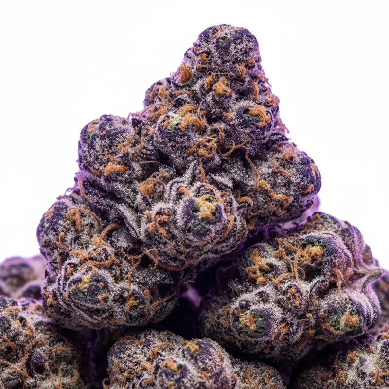 Weedistillery Indica category - relaxing Black Cherry Punch, Black Gold indica buds for evening use GTA delivery