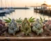 Oakville's top 5 premium cannabis flower strains 2026 with Lakeside Harbour backdrop.