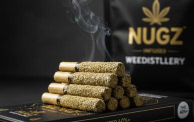 Infused pre-rolls Mississauga top 10 2026 hero image.