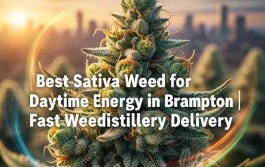 sativa weed brampton
