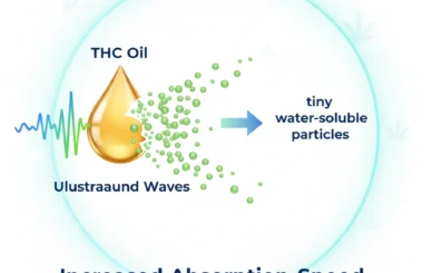 Illustration of nano-emulsion technology for fast-acting THC gummies in Mississauga.