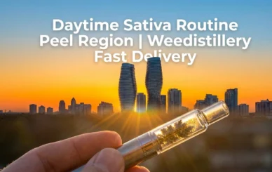 daytime sativa brampton