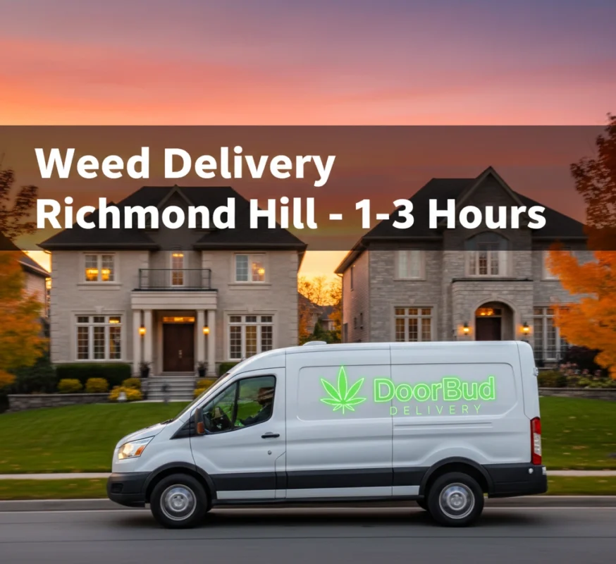 Terpene profiles for best sativa strains Mississauga 2026.