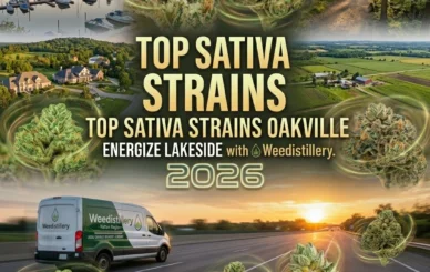 sativa strains Oakville