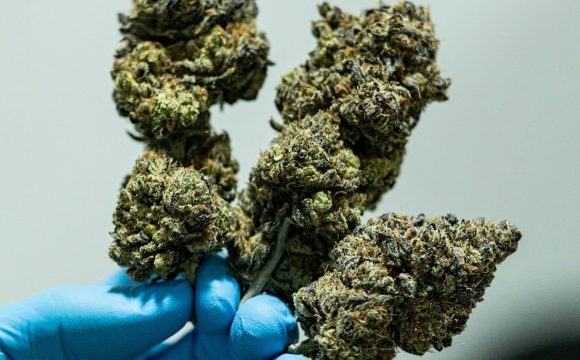 pexels-diego-barros-2149566212-33349199