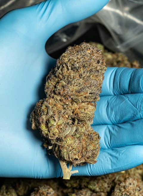 pexels-diego-barros-2149566212-33349201