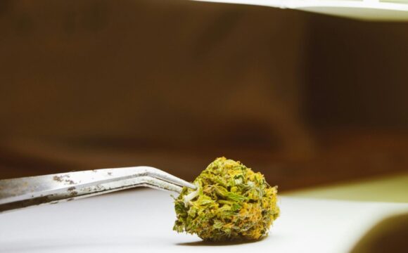 pexels-jess-vide-9259990