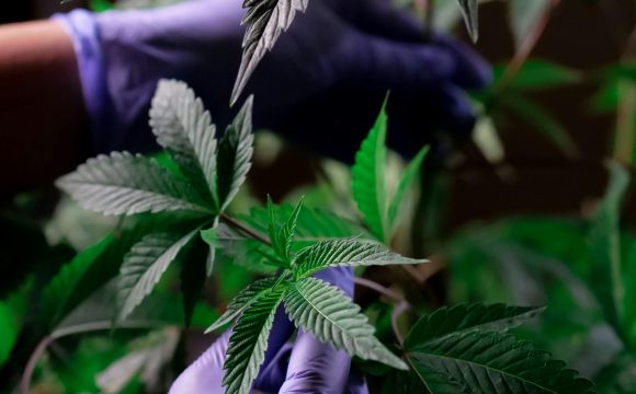 pexels-kindelmedia-7667885