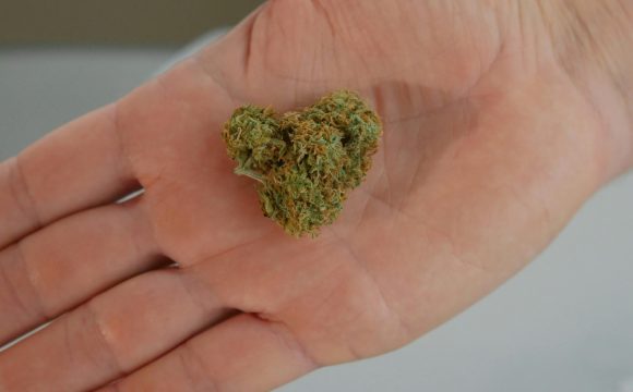 pexels-kindelmedia-7773104