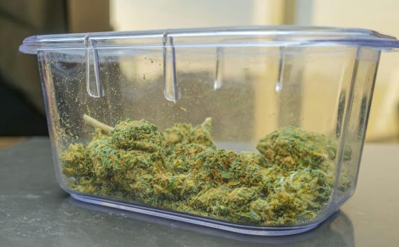 pexels-kindelmedia-7773106 pexels-kindelmedia-7773106