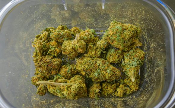 pexels-kindelmedia-7773107