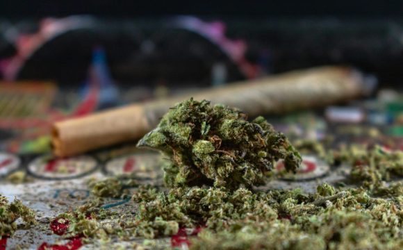 pexels-perfect-lens-12920197