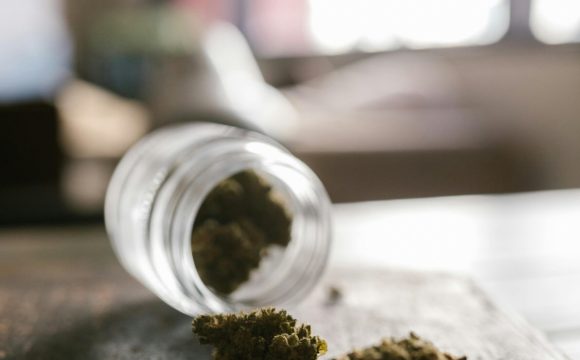 pexels-rdne-8139074 (1)